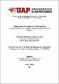 Tesis_estrategia_método_Pólya_aprendizaje_teorema_Pitágoras.pdf.jpg