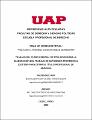 Tesis_derecho_penal_violación_persona_incapacidad_resistir.pdf.jpg