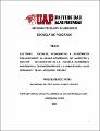 Tesis_factores_sociales_económicos_académicos_relacionados_grado_académico_magíster_doctor_docente_E.A.P.E. UAP_filial_Arequipa.pdf.jpg