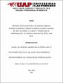 Tesis_régimen_disciplinario_fuerzas armadas_derecho constitucional_protección_matrimonio_Lima.pdf.jpg