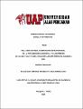 Tesis_relación_componente_intrapersonal_inteligencia_emocional_depresión_estudiantes_colegio_Sagrado Corazón_Arequipa.pdf.jpg