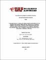 Tesis_análisis_párrafo_licencia_conducir_vehículos_legalidad_igualdad_Arequipa.pdf.jpg