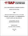 Tesis_medidas_protección_contra_violencia_familiar_relación_feminicidio_distrito_judicial_Lima_Norte.pdf.jpg
